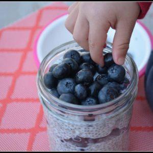 Coconut Blueberry Chia Pudding