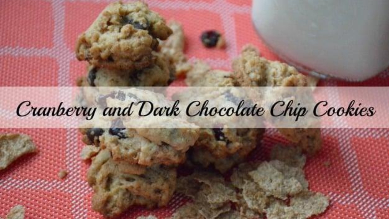 Cranberry and Dark Chocolate Chip Cookies