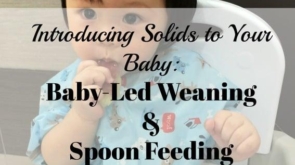 Introducing Solids to Your Baby: Baby-Led Weaning Vs. Spoon Feeding