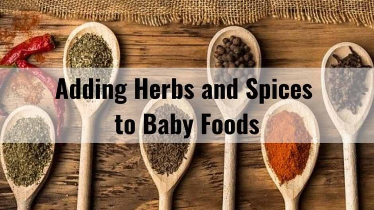 adding-herbs-and-spices-to-baby-foods-photo