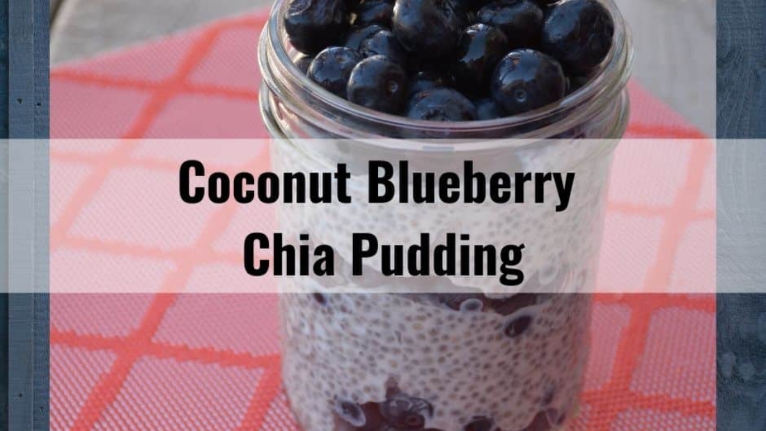Coconut Blueberry Chia Pudding