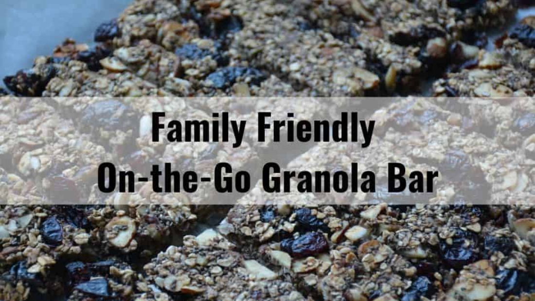 Family Friendly On-The-Go Granola Bar