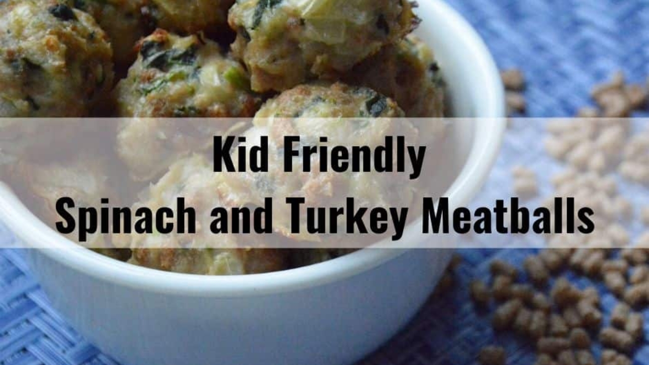 Kid Friendly Spinach And Turkey Meatballs