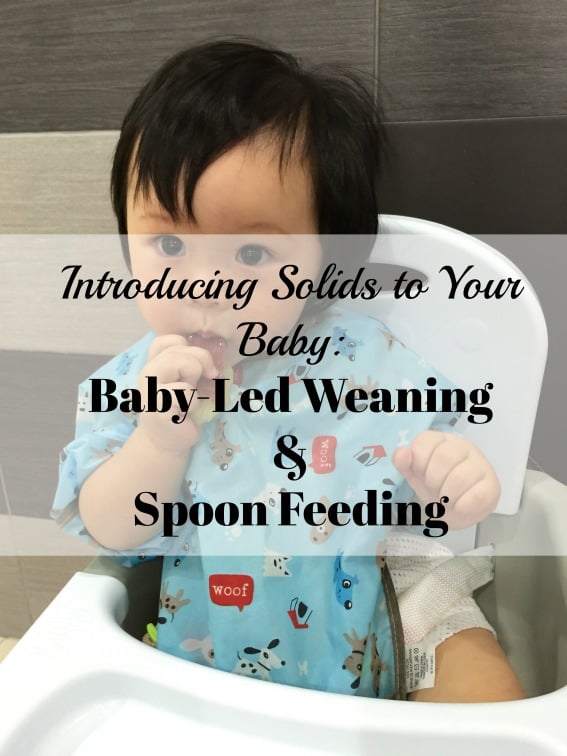 Introducing-solids-baby-baby-led-weaning-vs-spoon-feeding-photo ...