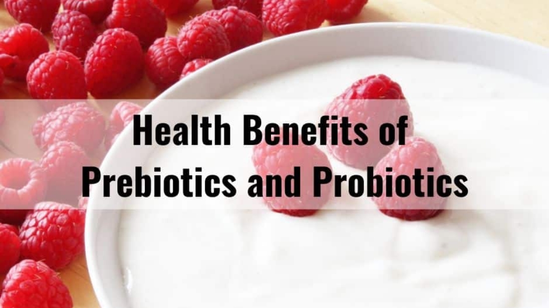 prebiotics-and-probiotics-supplements-photo