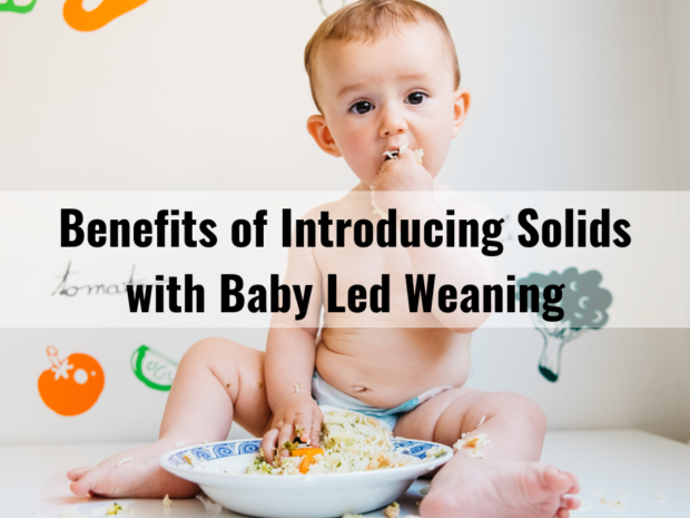 Benefits of Introduction Solids with Baby Led Weaning