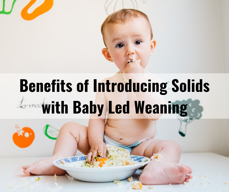 Introducing Solids: Baby-Led Weaning Vs. Spoon Feeding 