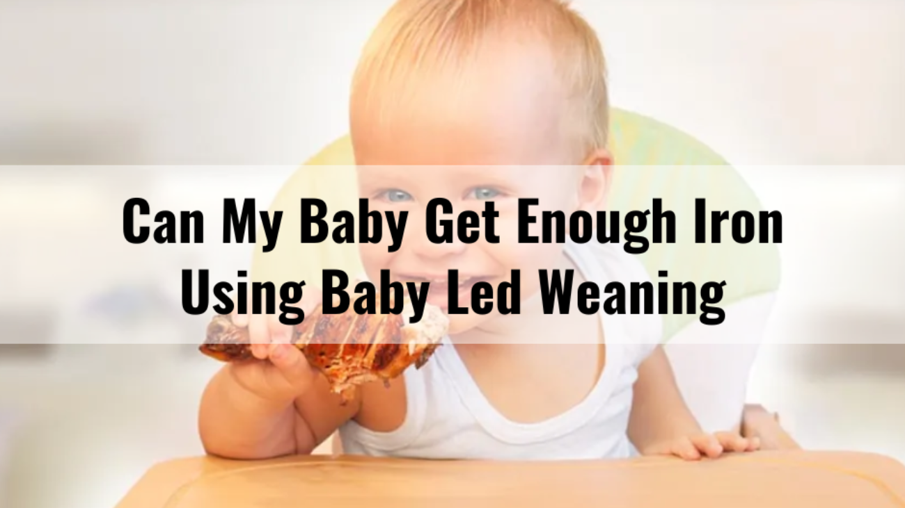 Can My Baby Get Enough Iron Using Baby Led Weaning