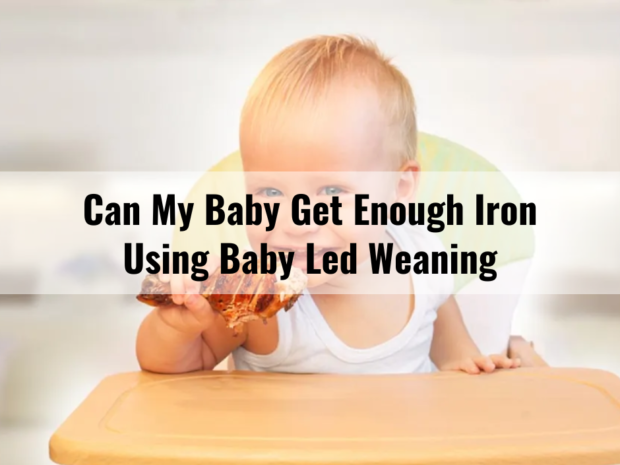 Can My Baby Get Enough Iron Using Baby Led Weaning