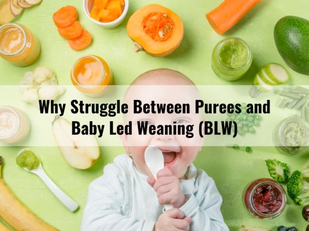 Why Struggle Between Purees and Baby Led Weaning (BLW)